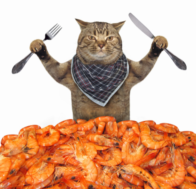 An image of a serious cat holding utensils and standing by a pile of steamed shrimp.